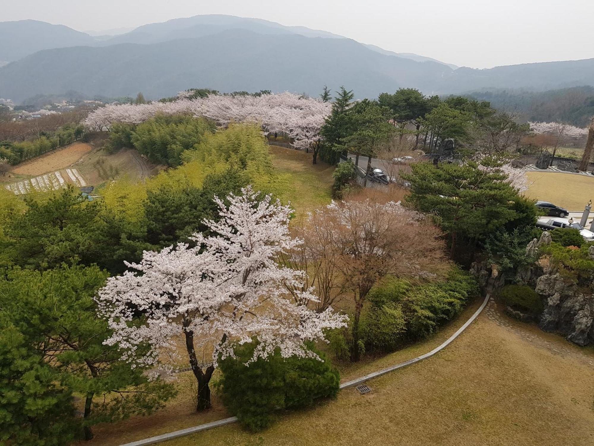 Hotel Gaya Seongju Exterior photo